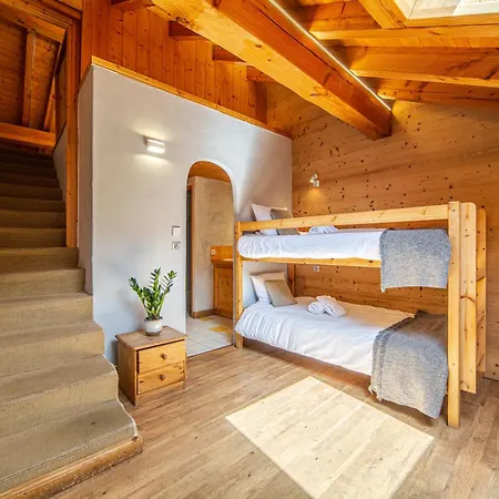 Chalet Le Saint Bernard *
