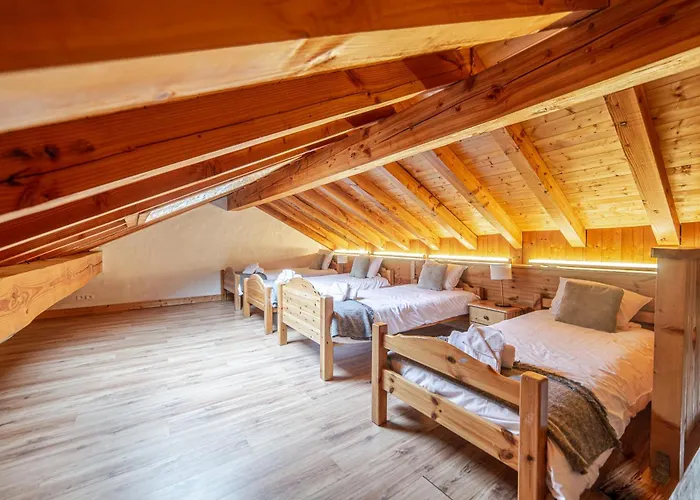 Le Saint Bernard * La Plagne